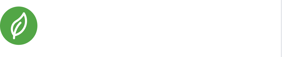 The Virtus Sapling - Grotoken - Plant trees for carbon credits